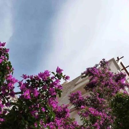 Apartment In With Sea View, Terrace, Air Conditioning, Wifi 5121-4